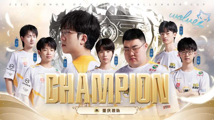 的代名词