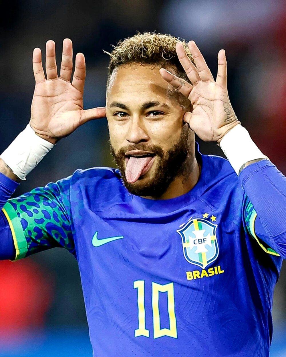 革之声形成 革之声形成