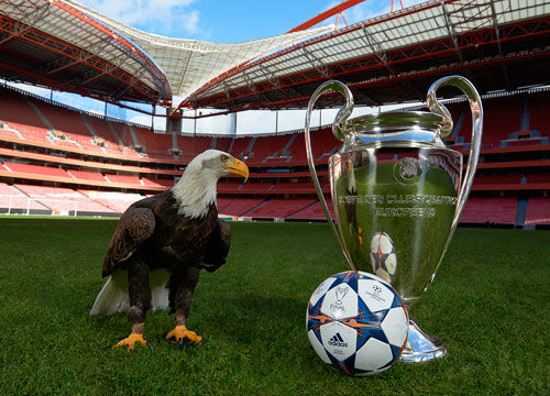 威斯布鲁克 威斯布鲁克